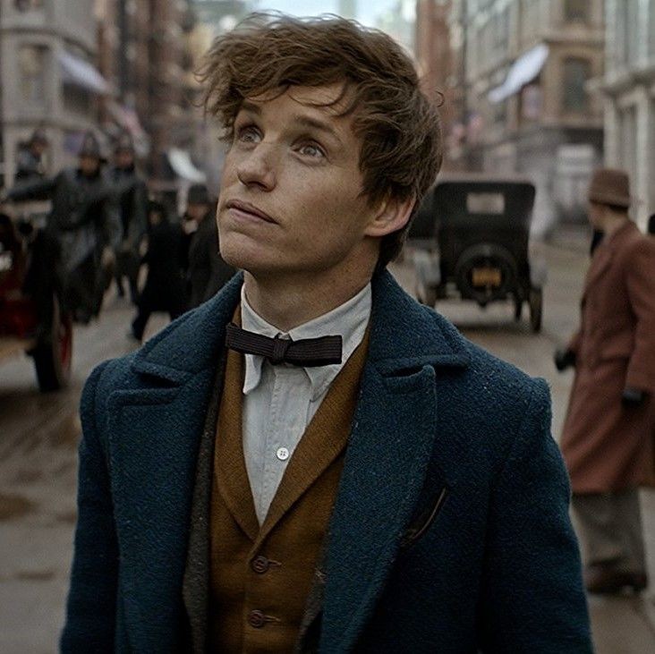 Avatar of Newt Scamander 