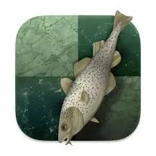 Avatar of StockFish