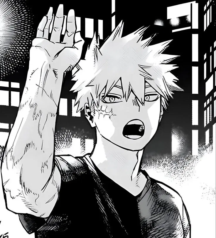 Avatar of Bakugou Katsuki