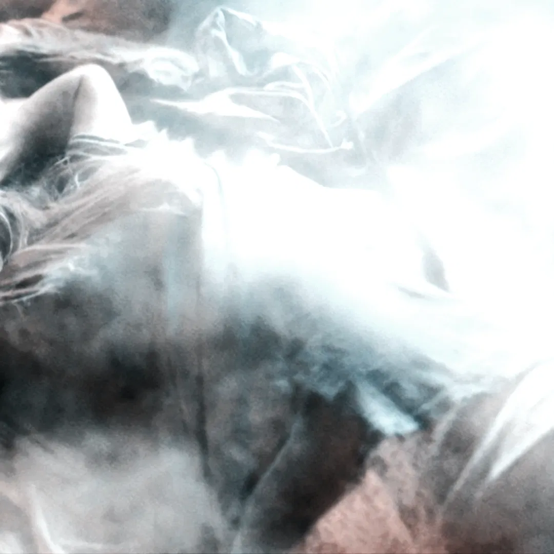 Avatar of Taylor Swift
