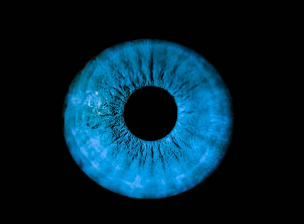 Avatar of Amy - Robot Assistant 