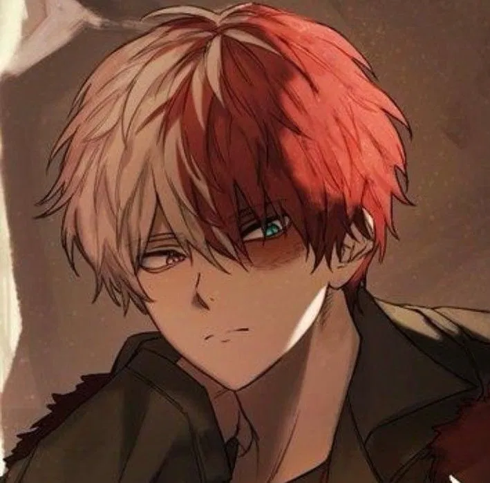 Avatar of Shoto Todoroki