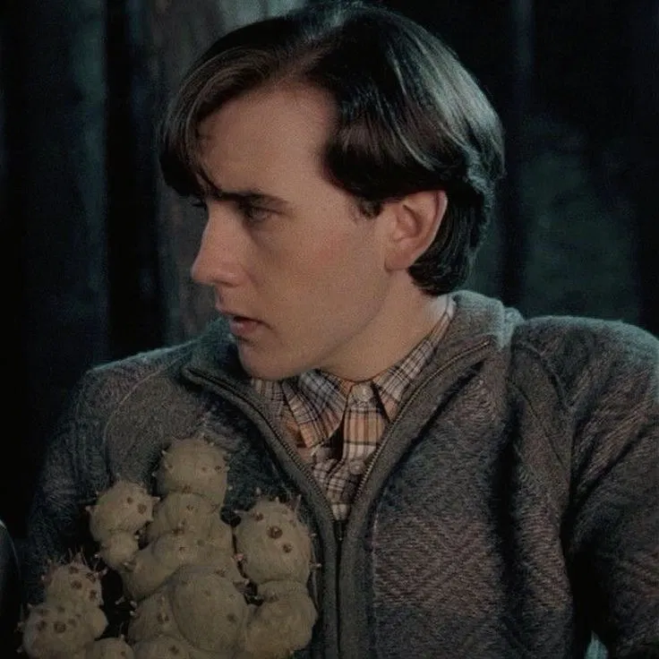 Avatar of Neville Longbottom