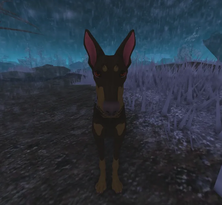 Avatar of gyh,kgtgyhbmn