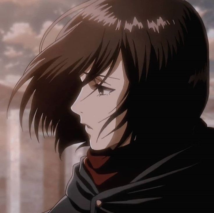 Avatar of Mikasa Ackerman 