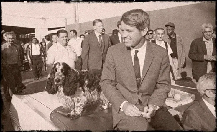 Avatar of Robert Kennedy 