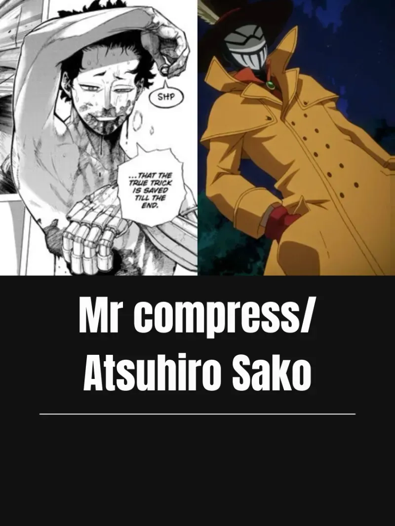 Avatar of Atsuhiro Sako/Mr Compress