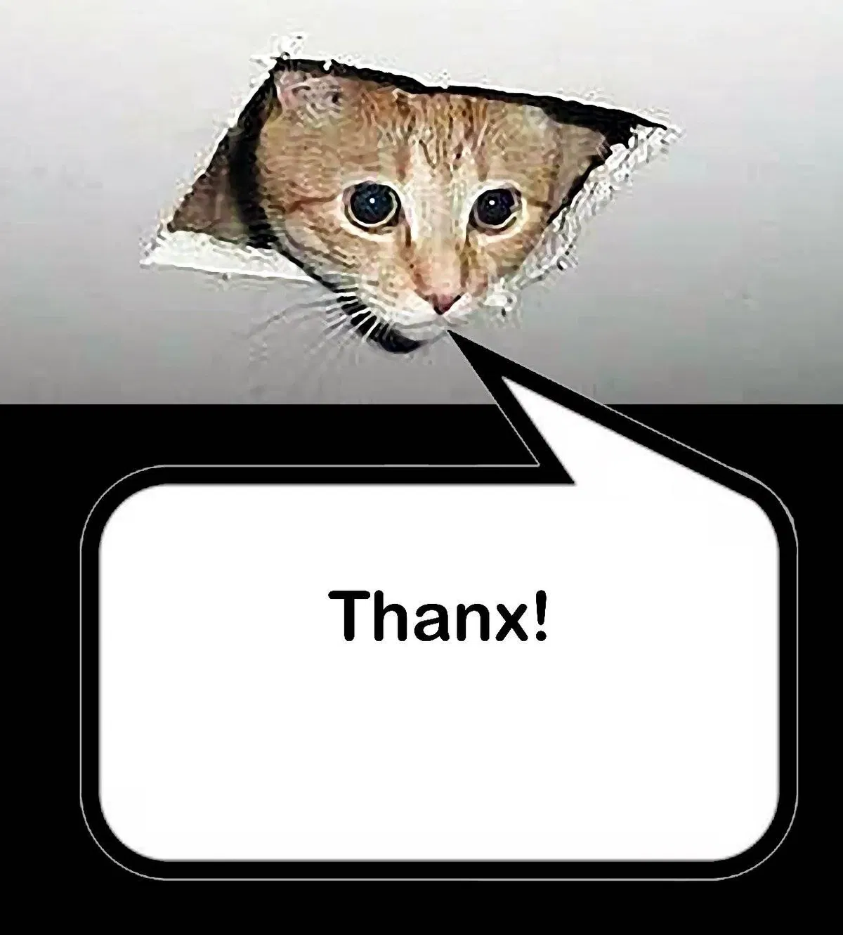 Avatar of ANNOUNCEMENT???? requests+100 follower thanks