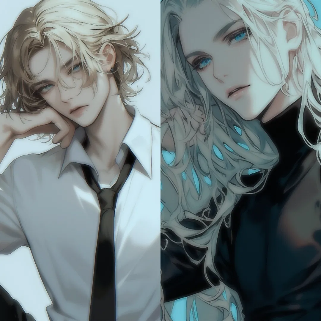 Avatar of The Mei brothers