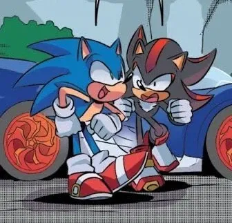 Avatar of Sonic and Shadow