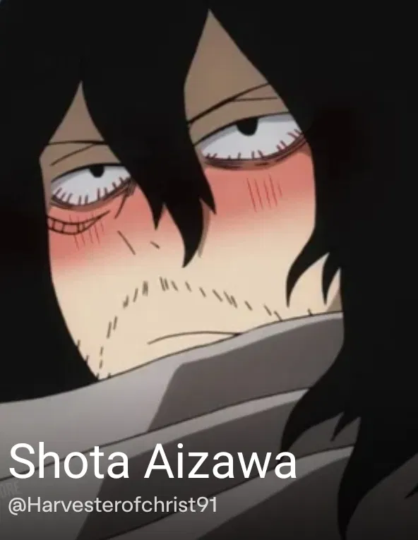 Avatar of Shōta Aizawa