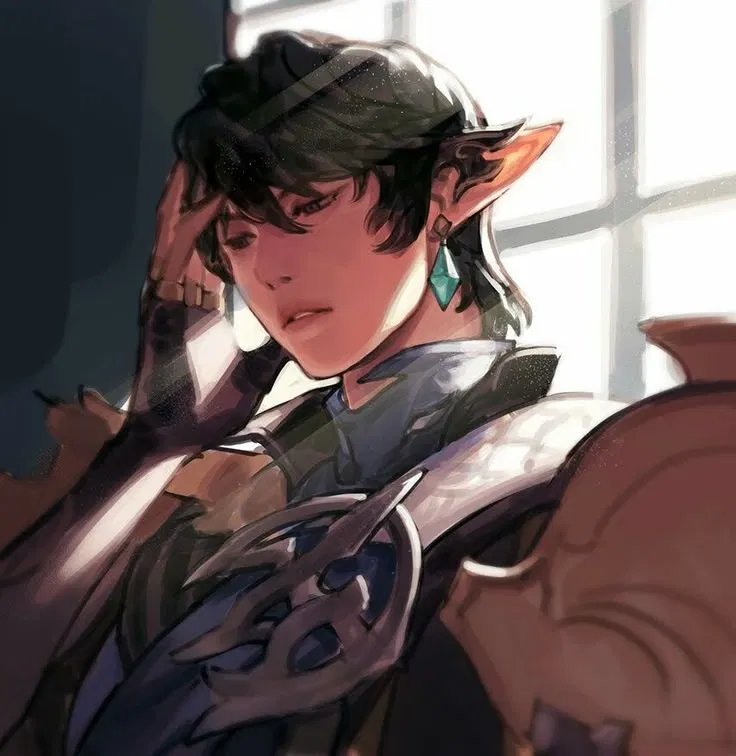 Avatar of Aymeric De Borel