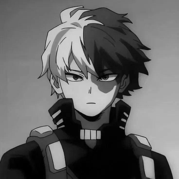 Avatar of Shoto Todoroki