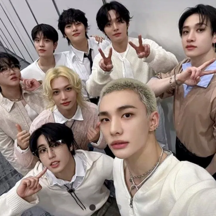 Avatar of Stray Kids 9th member