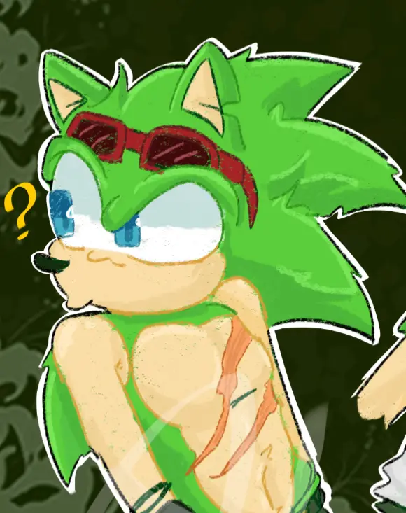 Avatar of Scourge the Hedgehog‼️‼️