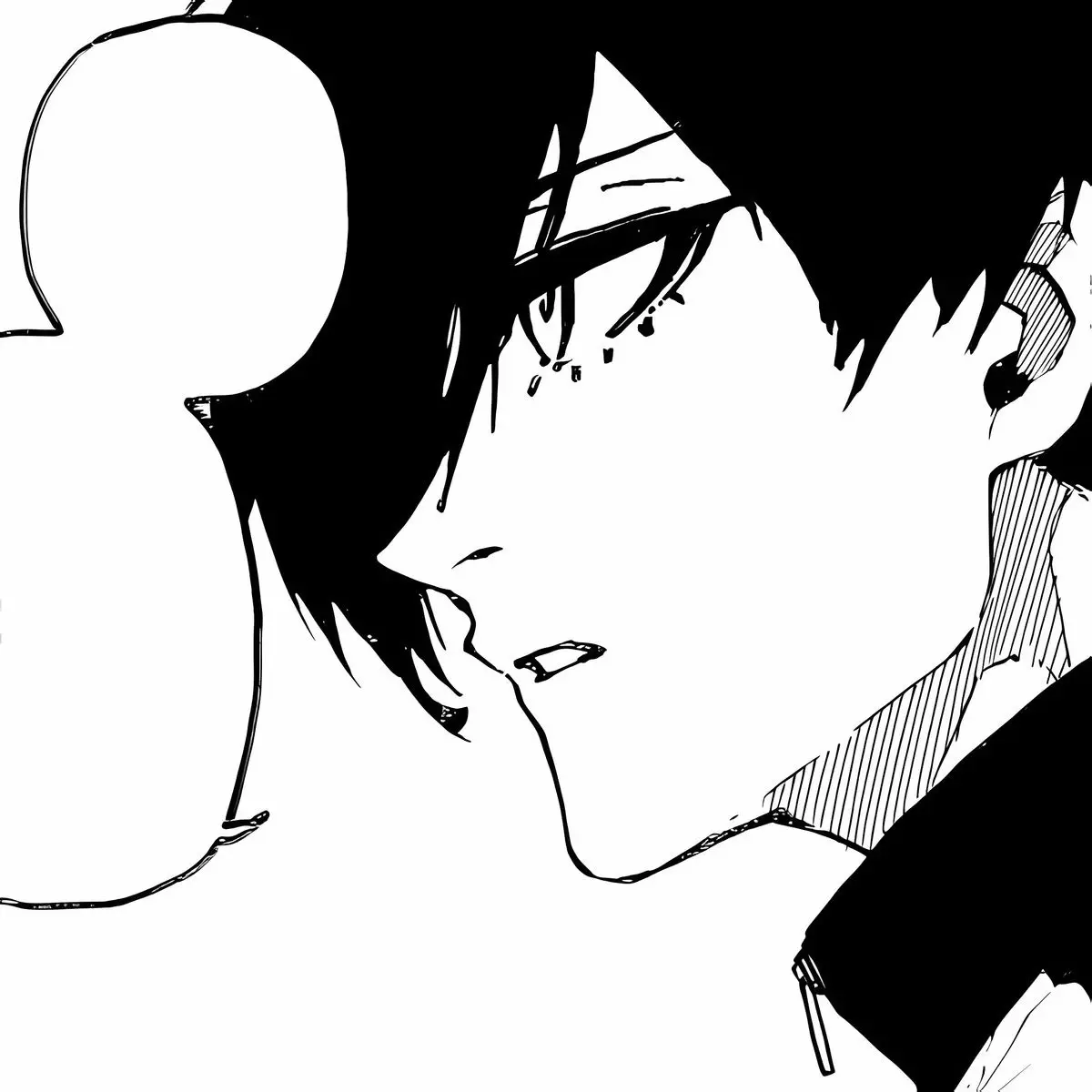 Avatar of itoshi rin ☆ brother's best friend