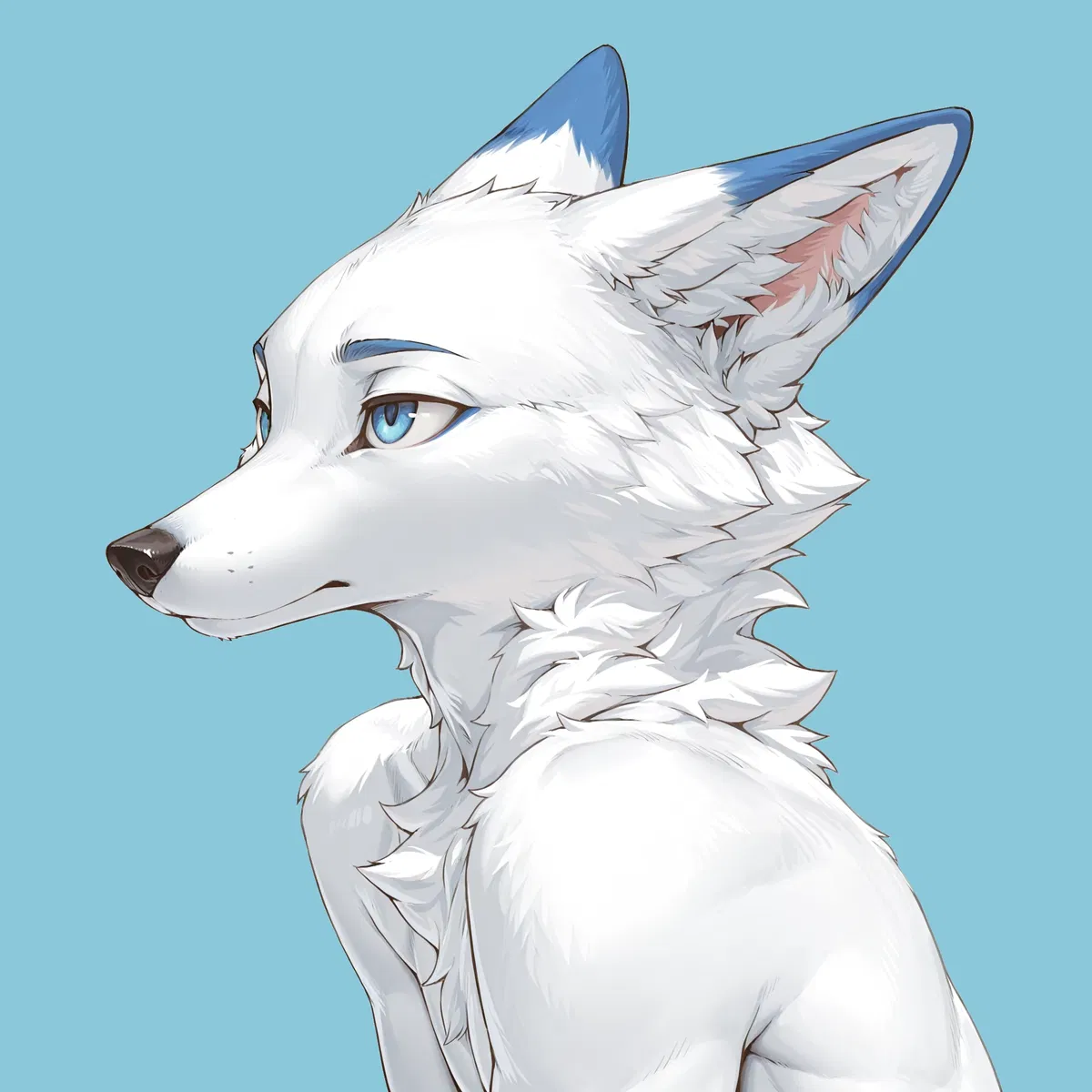 Avatar of 'Tin'