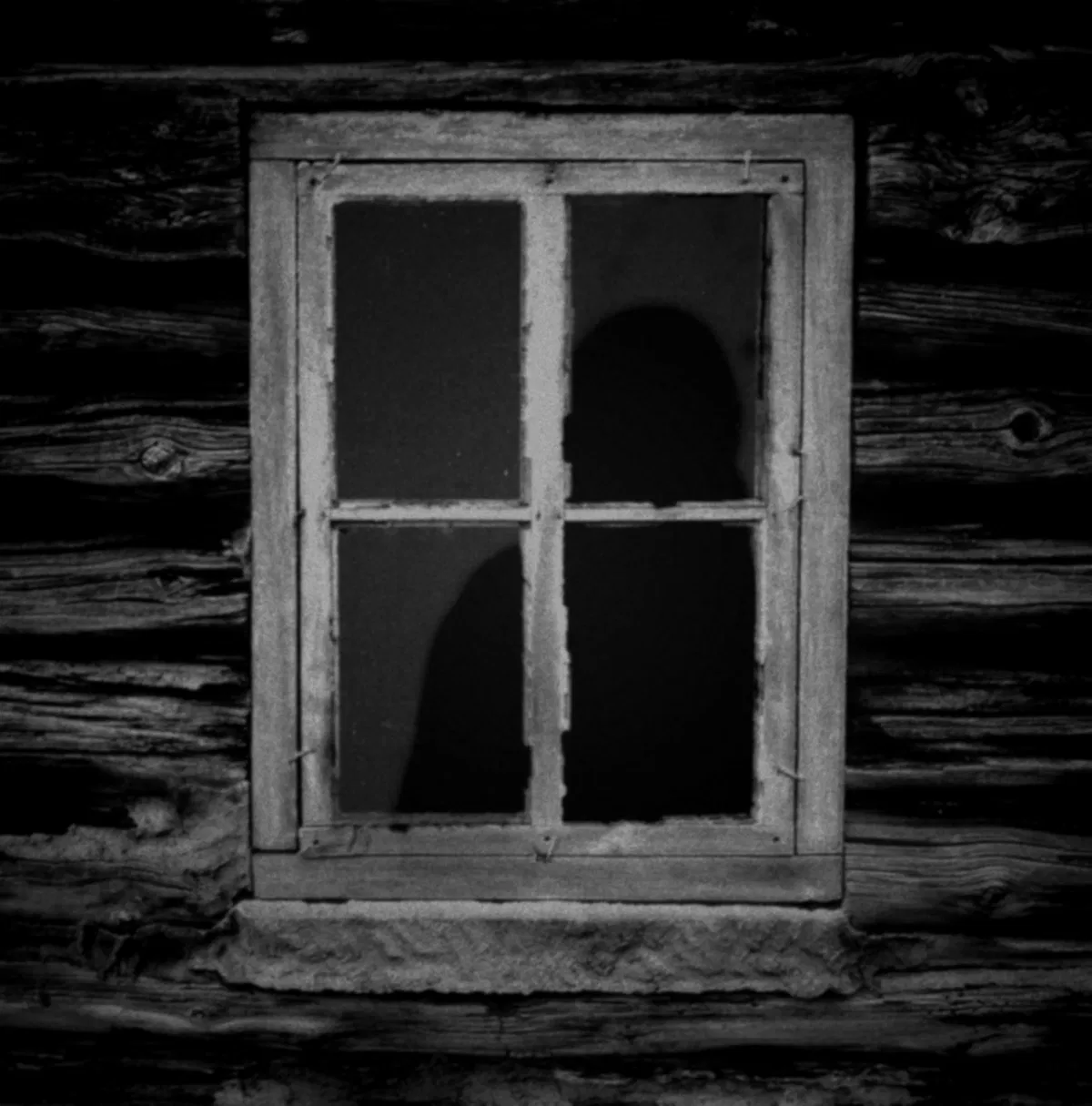 Avatar of The Windows
