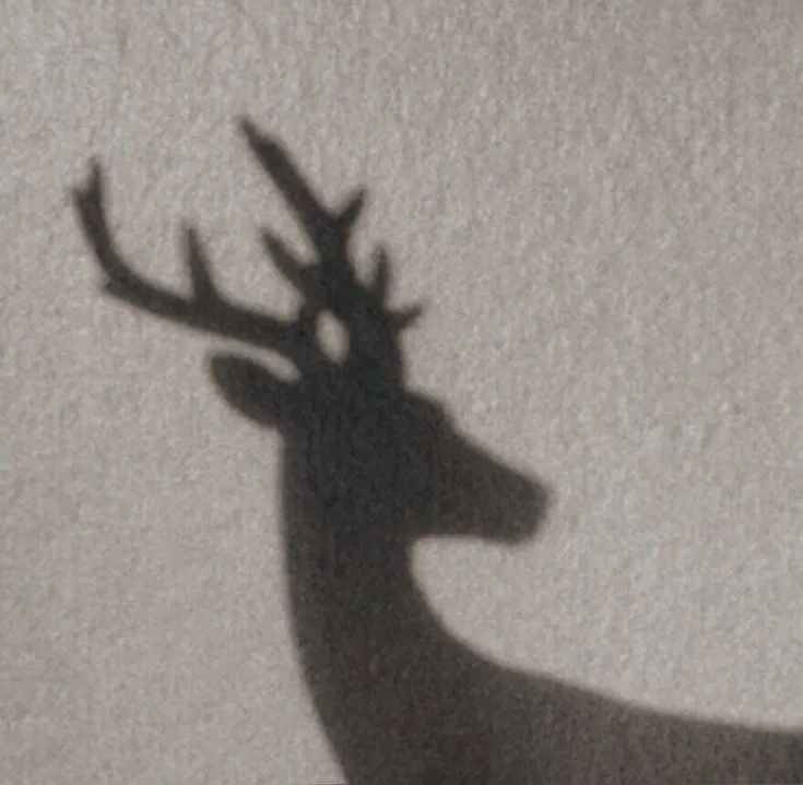 Avatar of James Potter