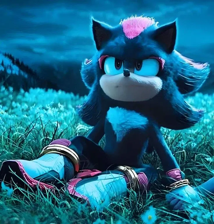 Avatar of 《☆★Shadow The hedgehog★☆》