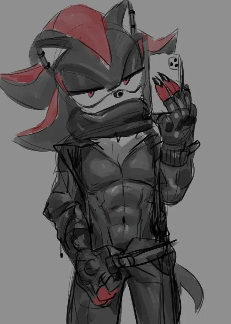 Avatar of Shadow the Hedgehog