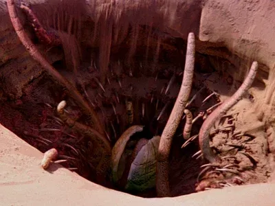 Avatar of Sarlacc