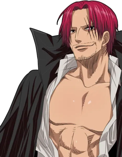 Avatar of The red-hair Pirates 