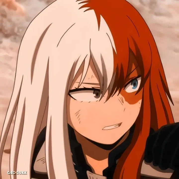Avatar of Shoto Todoroki