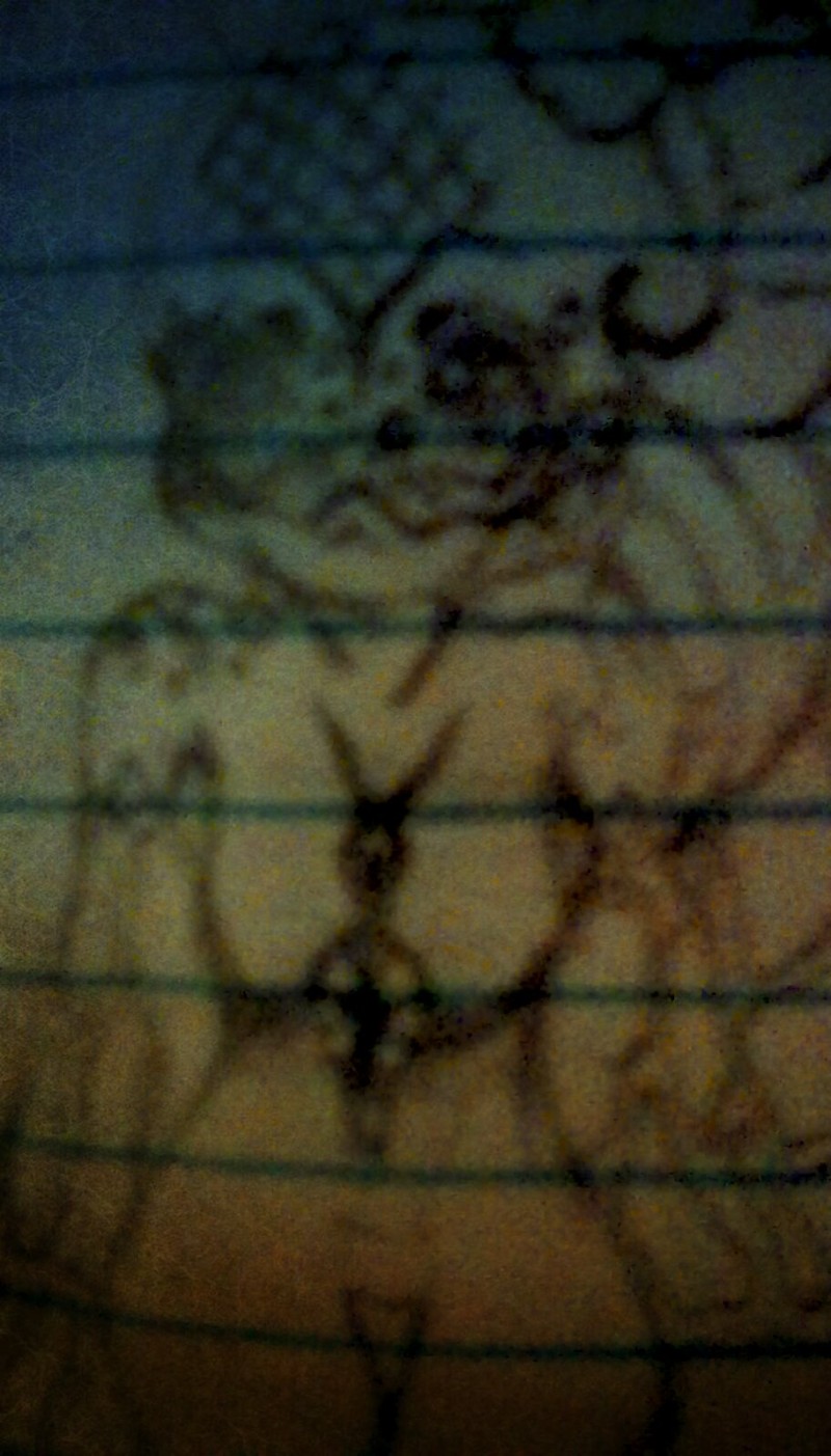 Avatar of Kipp (tomgirl)