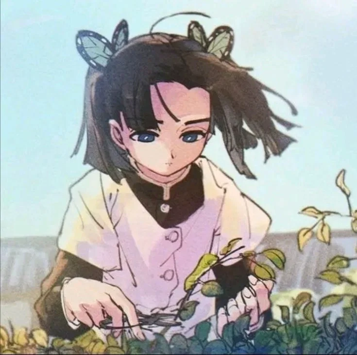 Avatar of Aoi Kanzaki 