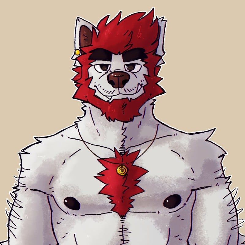 Avatar of Don