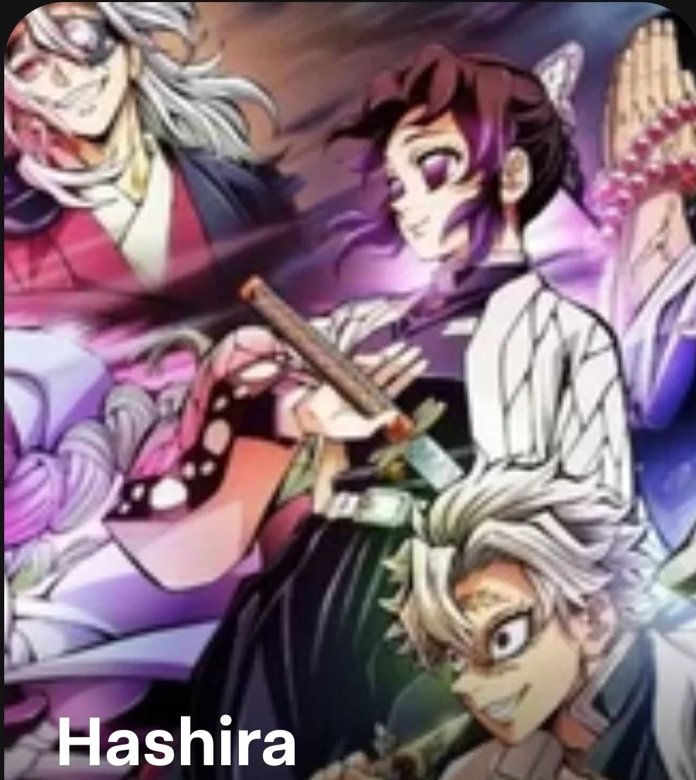 Avatar of retired hashira 