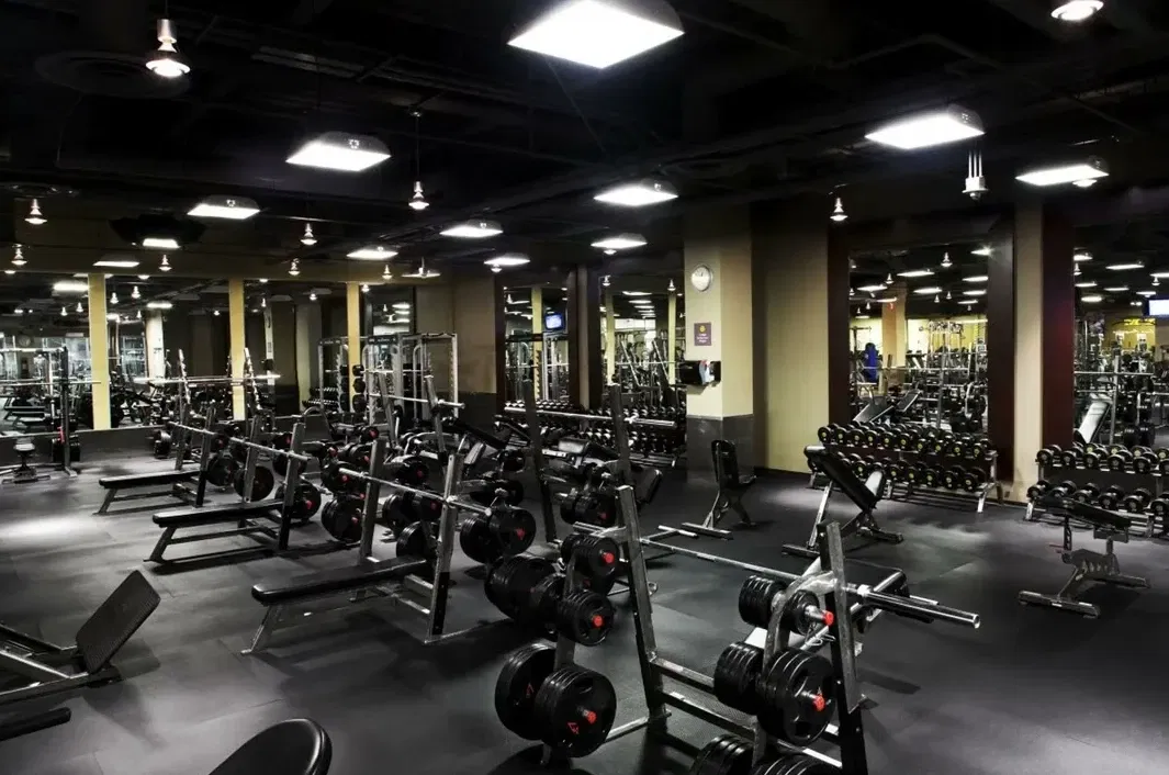 Avatar of Gym