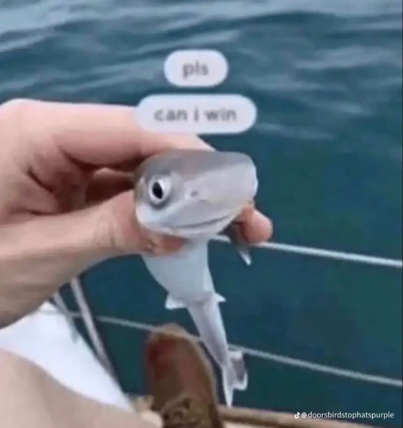 Avatar of Shark Issac