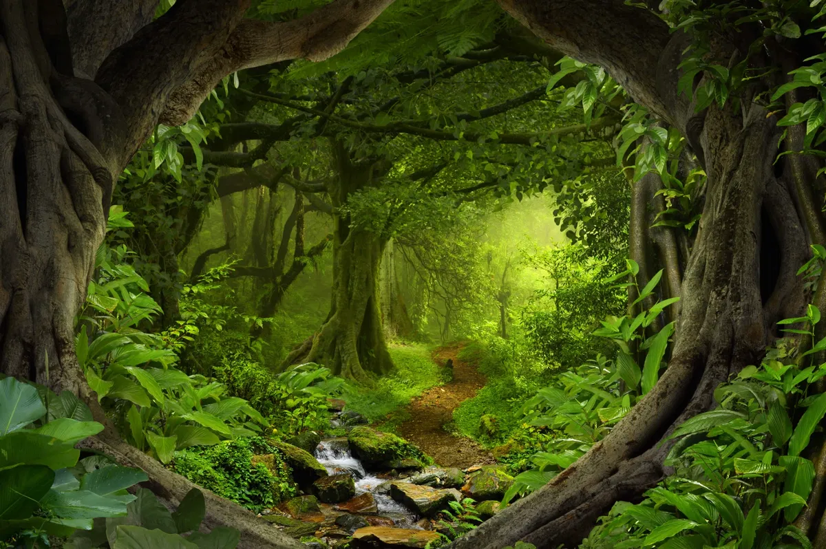 Avatar of Lewd Forest
