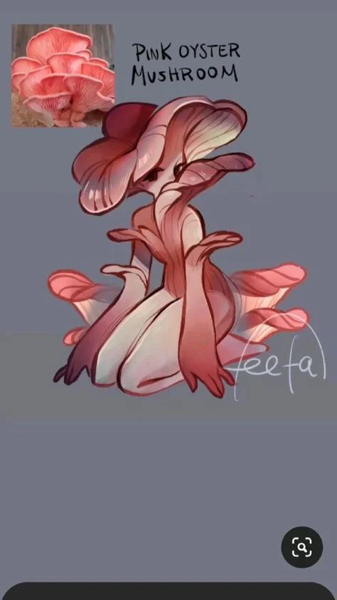 Avatar of Shroomi, the sentient mushroom girl