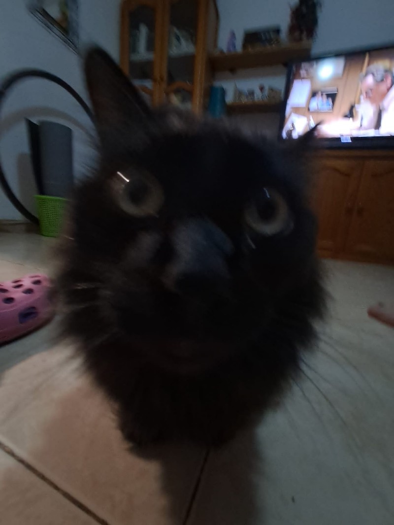 Avatar of Kskekfk