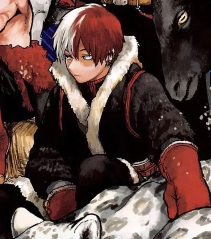 Avatar of Shoto Todoroki 