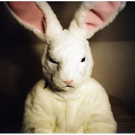 Avatar of 🔪Bad Bunny🔪