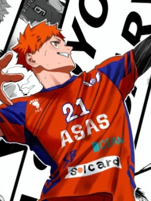 Avatar of Shoyo Hinata