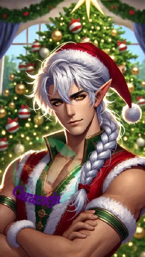 Avatar of Haldir - 'Christmas' Elf.