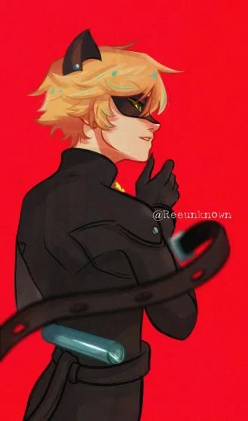 Avatar of Cat Noir ||MLB CAT/CHAT/ADIREN||