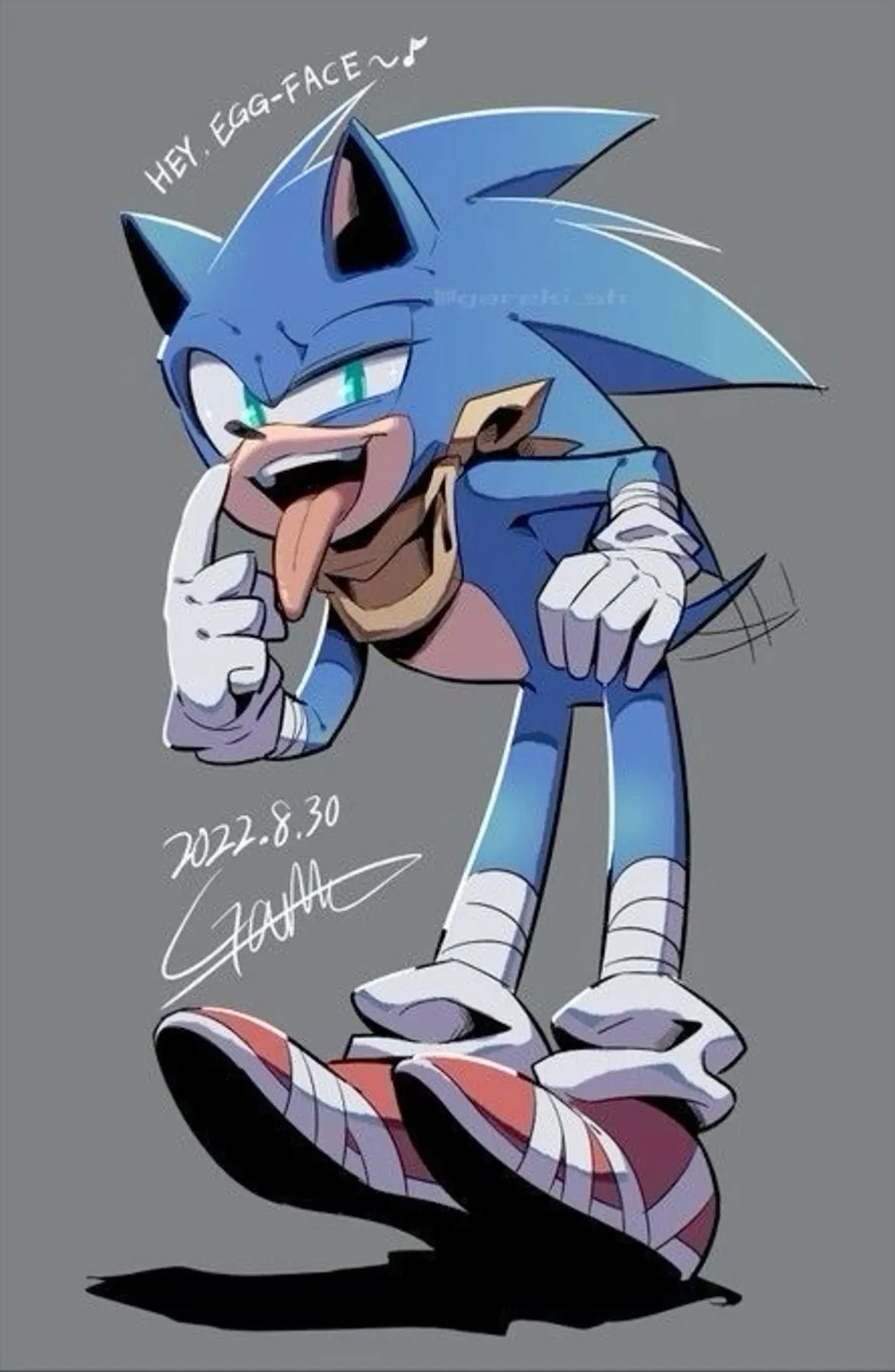 Avatar of Sonic the hedgehog ||Sonic Boom||