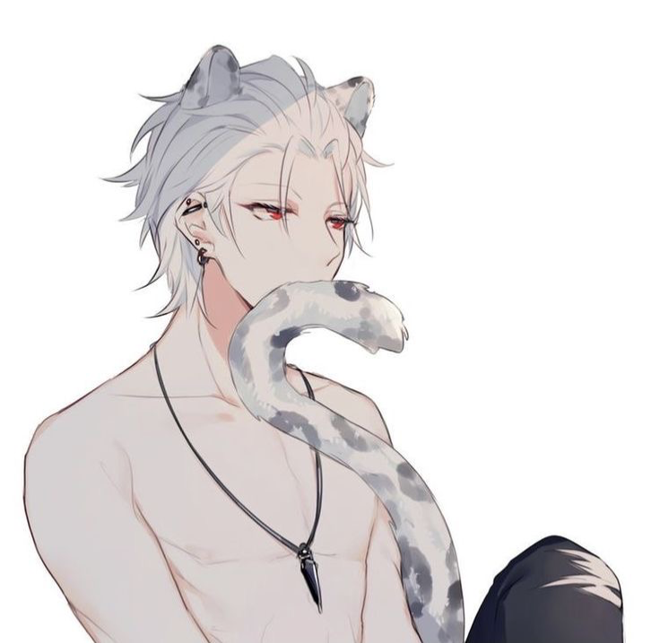 Avatar of Vincent Raith