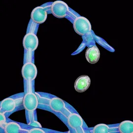 Avatar of Voir the tentacle monster