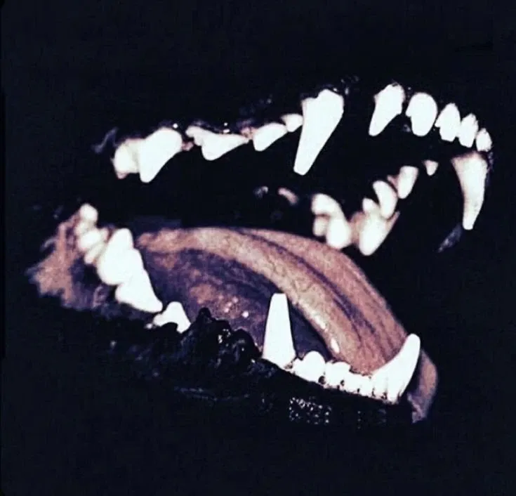 Avatar of Sitka