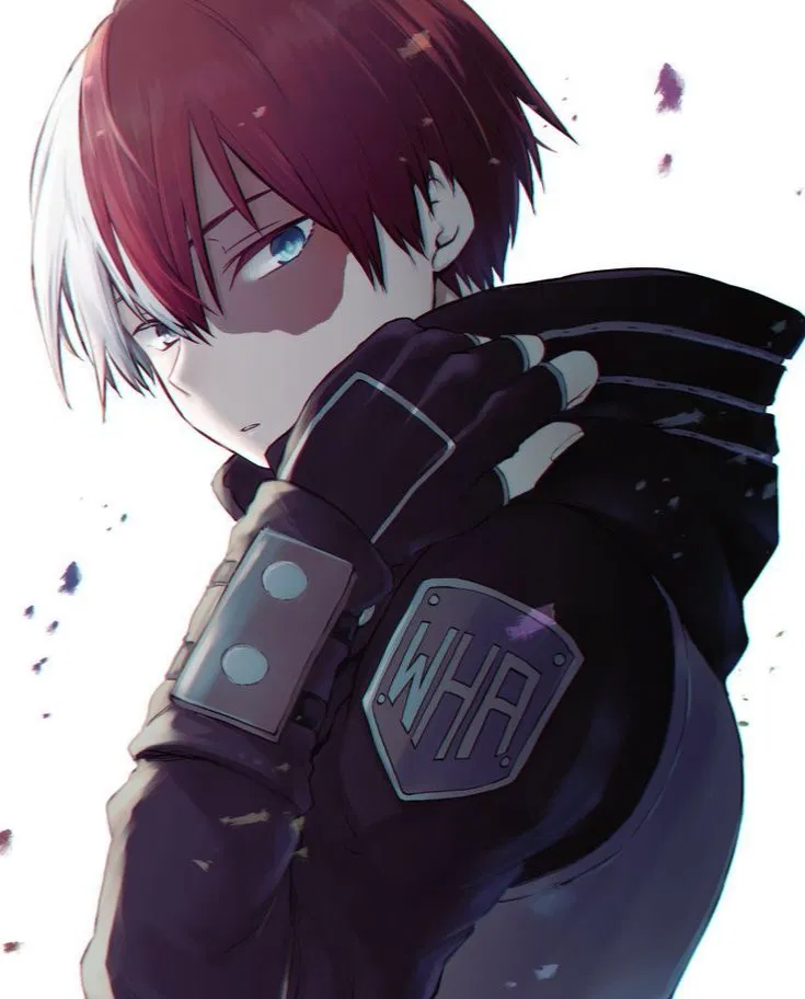 Avatar of Shoto Todoroki