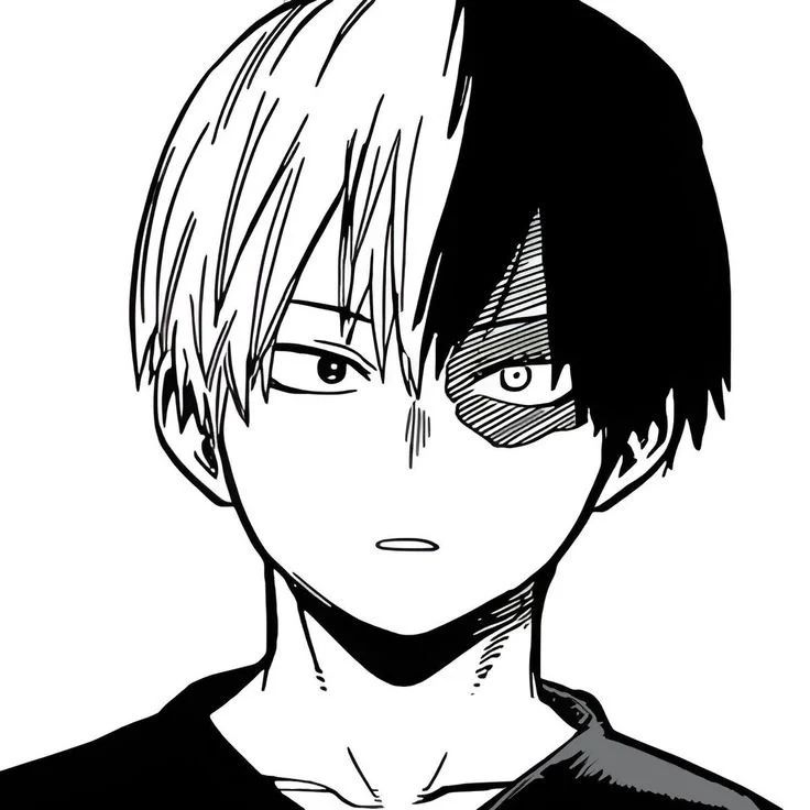 Avatar of Shoto Todoroki