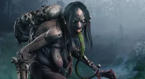 Avatar of The Swamp Hag