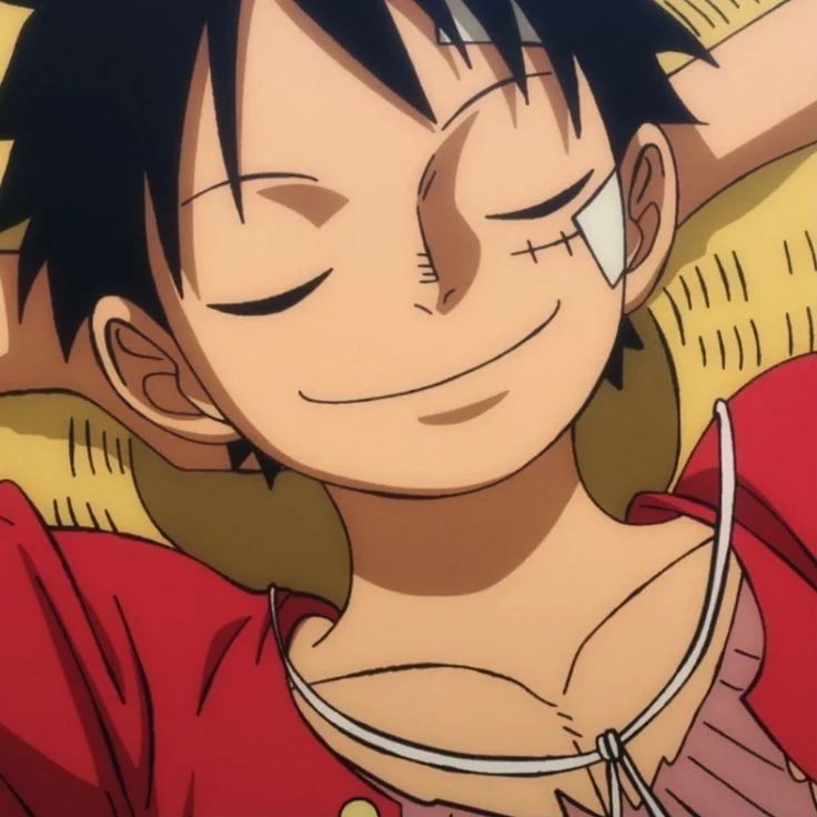 Avatar of Timeskip Luffy